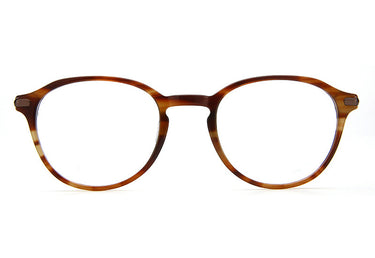 Men Urban Eyeglasses: Bergen - Brown - SpecSMART Eye Clinic (Front View)